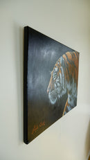 Stripes-3