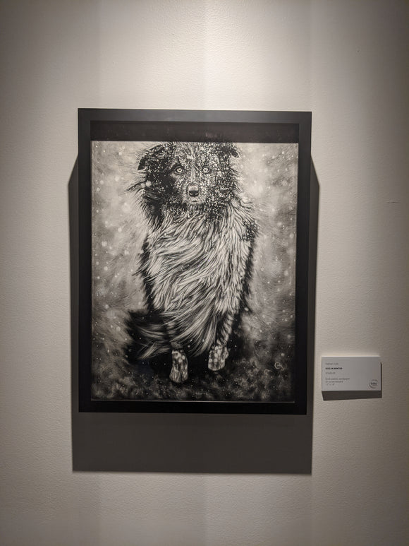 Dog in Winter