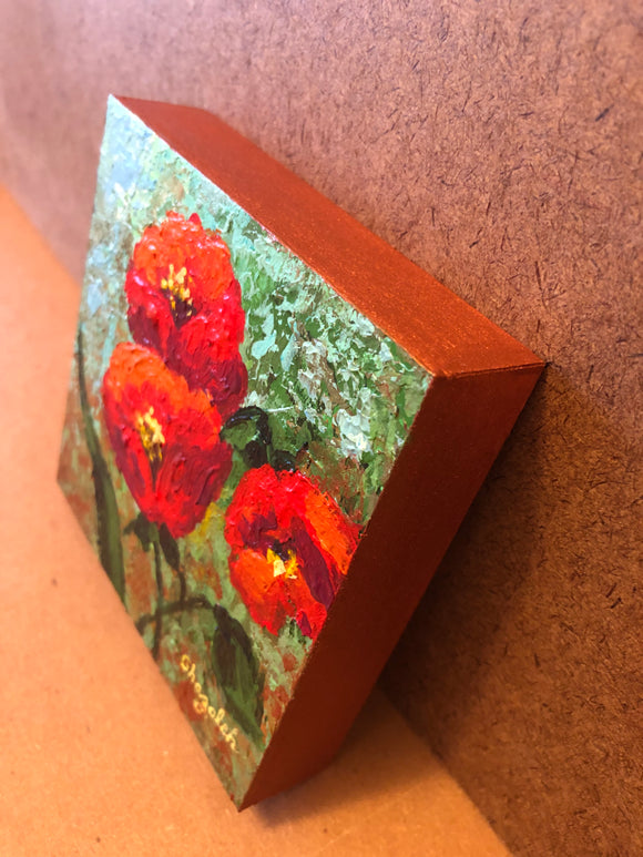 Lovely Poppies