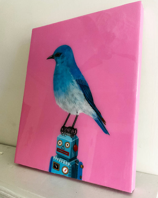 Mountain Bluebird on Toy Robot