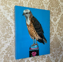 Red Tailed Hawk on Antique Tin-3