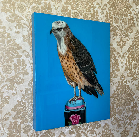 Red Tailed Hawk on Antique Tin