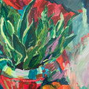 Sansevieria-3