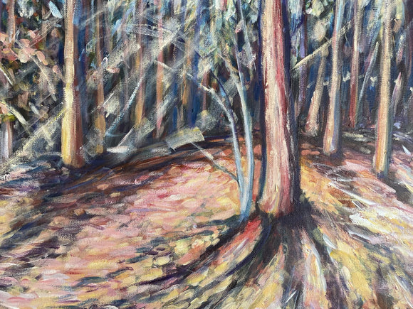 Sun Streams in the Forest
