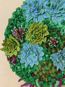 3D succulents-4
