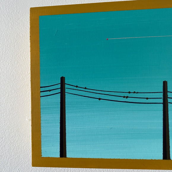 Birds on a Wire (ongoing series)