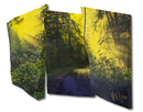 The Creek, the Road, the Forest—Triptych-4
