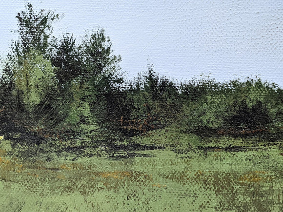 White Birch
