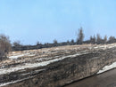 Spring Thaw-5