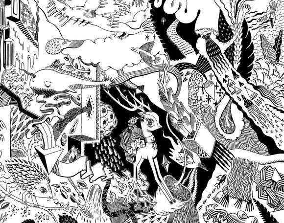 Bones