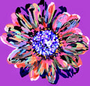 Pop of Flower Power-5