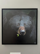 Curious Cub-5