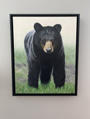 Bear Stare-5