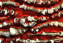 On Fire-4