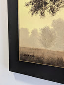 Autumn Haze-5