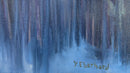 Delightful Silence-4