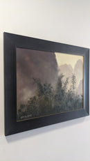 Karst & Ferns-4