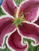 Summer Lily-4