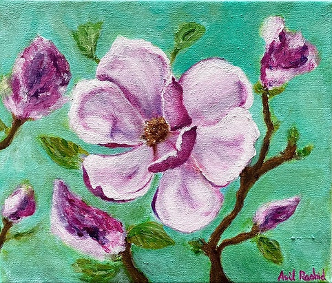 Magnolia Study II