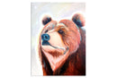 Dodde The Bear-5