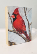 Cardinal-4