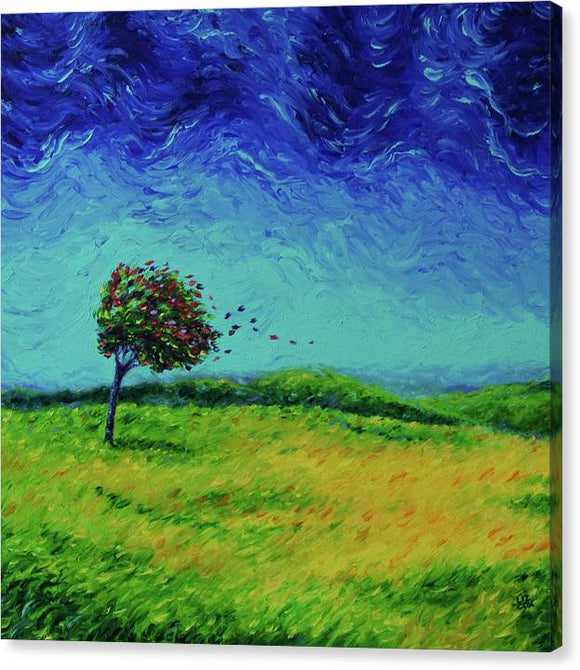 Summer Storm