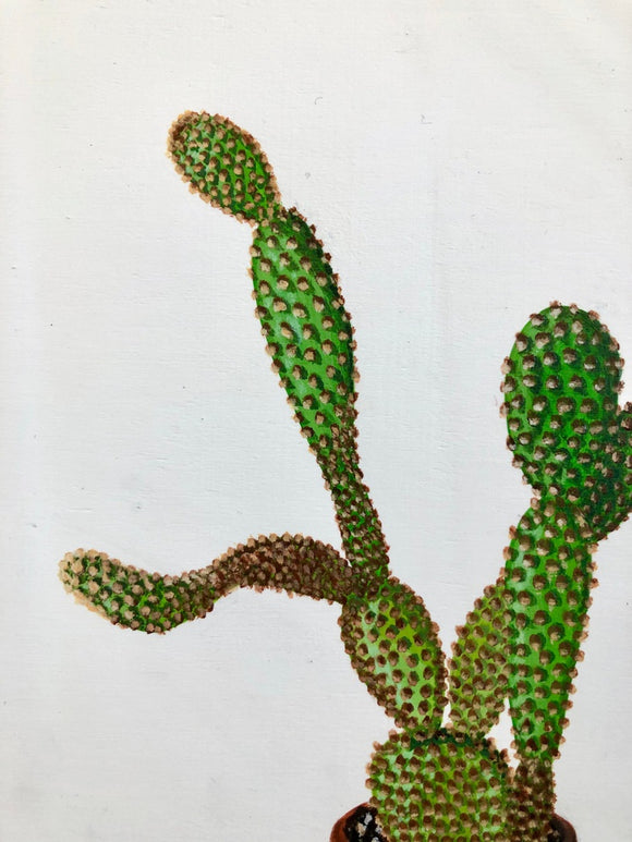 Prickly Pear Cactus
