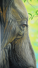 Wisdom-4
