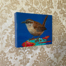 House Wren on Vintage Toy-4