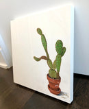Prickly Pear Cactus-4