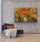 Colours of Nature-5