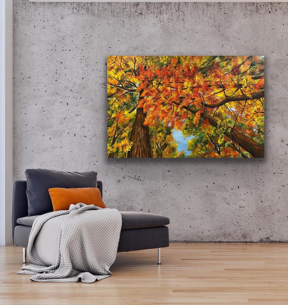 Colours of Nature