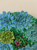 3D succulents-5