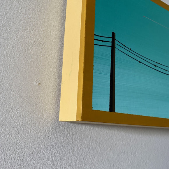 Birds on a Wire (ongoing series)