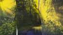 The Creek, the Road, the Forest—Triptych-5