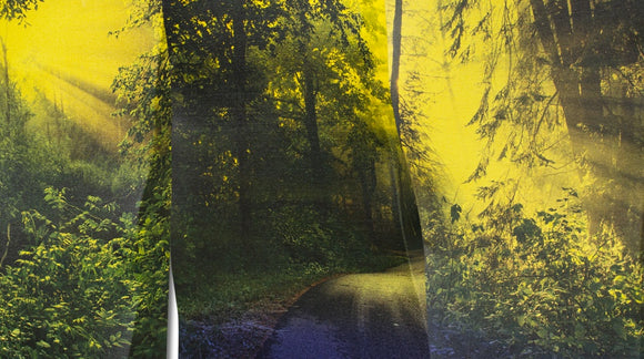 The Creek, the Road, the Forest—Triptych