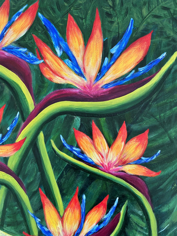 Bird of Paradise