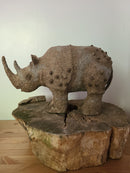 Rhino-5