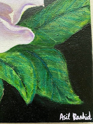 Magnolia Study I
