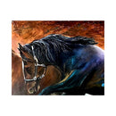 The Horse-5