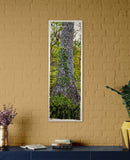 Oak Tree With Invasive Vine-5