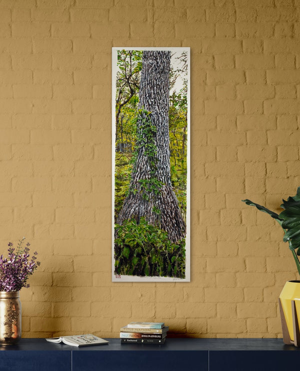 Oak Tree With Invasive Vine