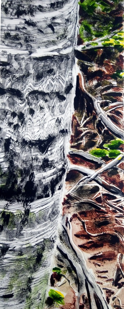 Birch Trunk #1