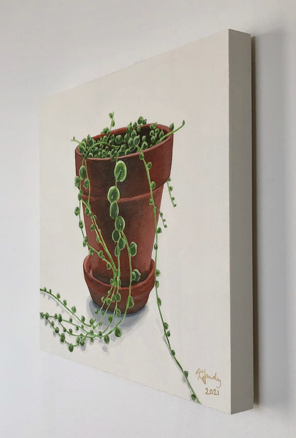 String of Pearls