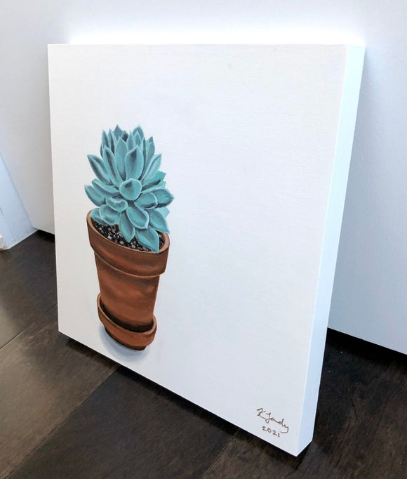 Echeveria