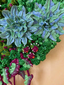 3D succulents-6