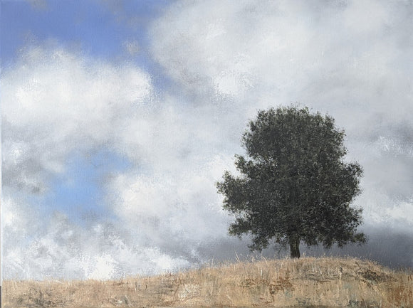 Ponderosa