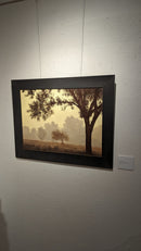 Autumn Haze-7