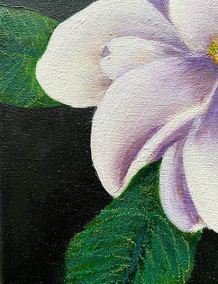 Magnolia Study I