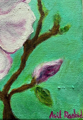 Magnolia Study II